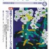 ノーマライゼーション「情報アクセスとコミュニケーション保障」