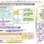 総務省・厚生労働省の共宰による「デジタル活用共生社会実現会議」の下に設置された「ICTアクセシビリティ確保部会」